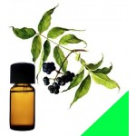 Эфирное масло бархата амурского