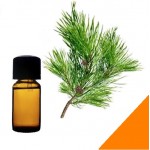 Эфирное масло кедра корейского (лапка)