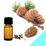 Эфирное масло кедра корейского (шишка)