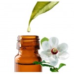 Магнолии Зибольда глицерит