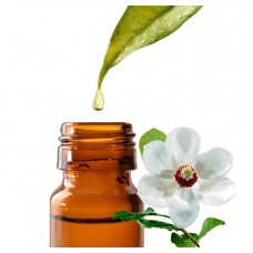 Глицериновый экстракт магнолии Зибольда